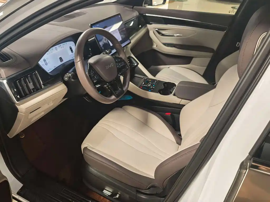 BYD PLUS New Energy — миниатюра 9