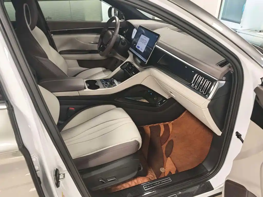 BYD PLUS New Energy — миниатюра 7