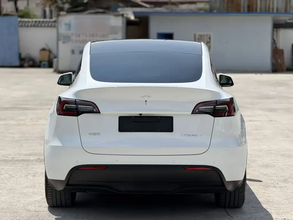 Tesla Model Y — миниатюра 6