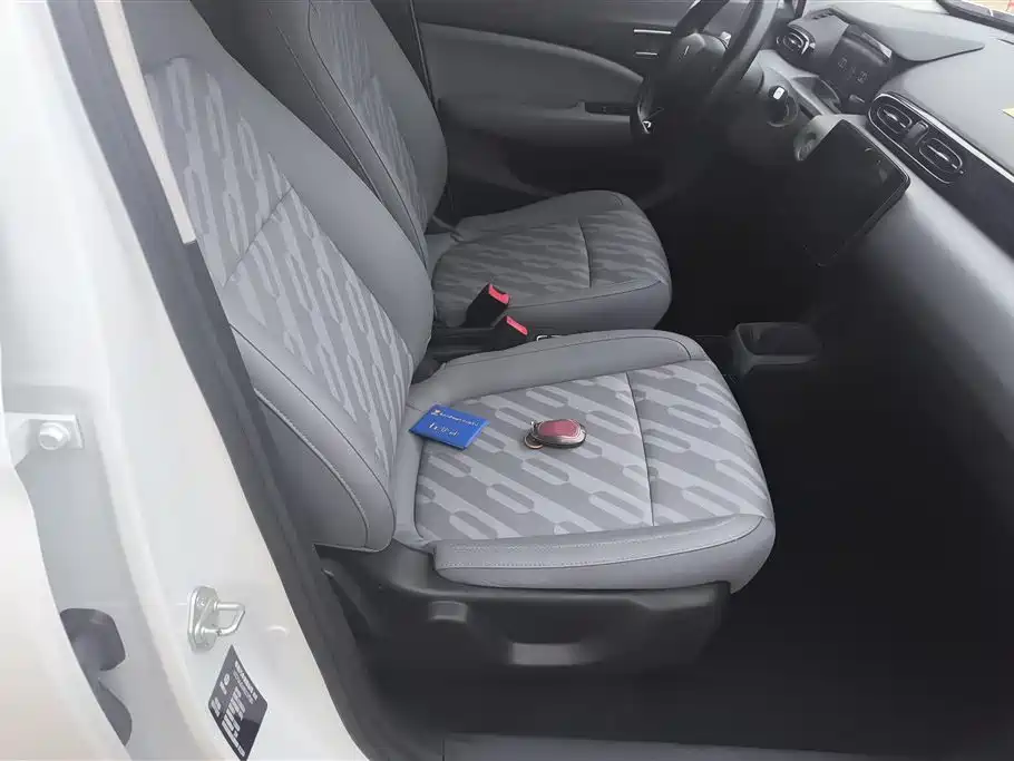 Leapmotor T03 2024 310
