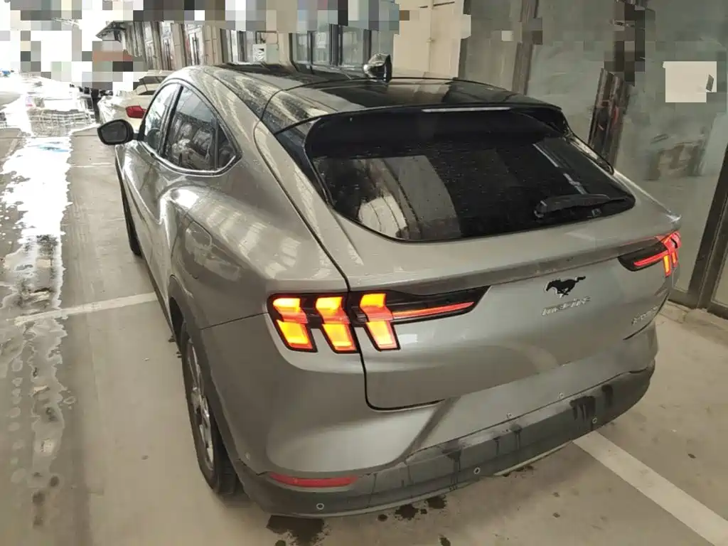 Ford Mustang Mach-E — миниатюра 5