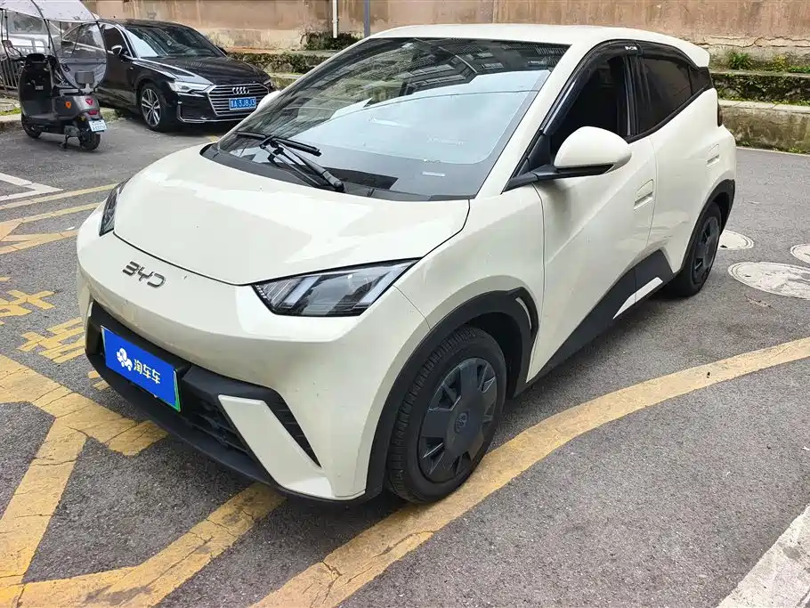 Byd Seagull 2024