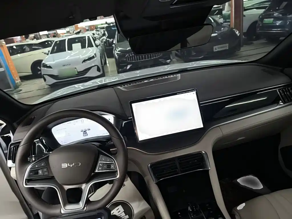 BYD PLUS New Energy — миниатюра 10