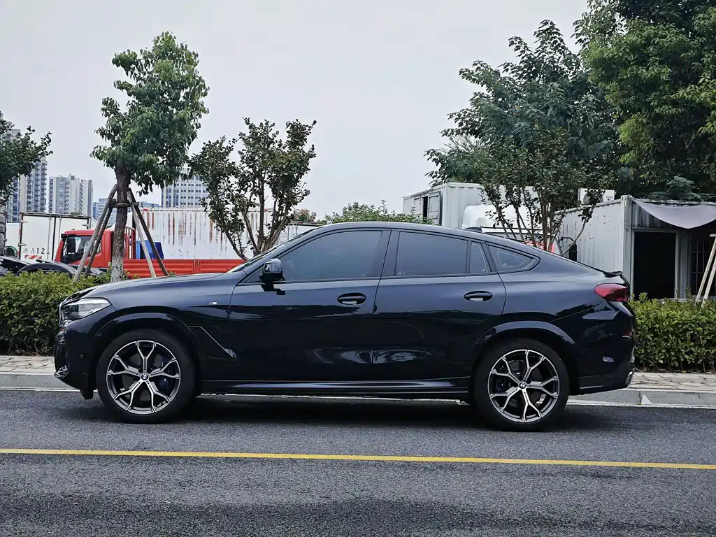 BMW X6 — миниатюра 5
