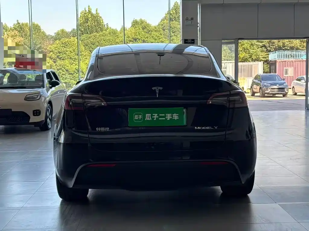 Tesla Model Y — миниатюра 6