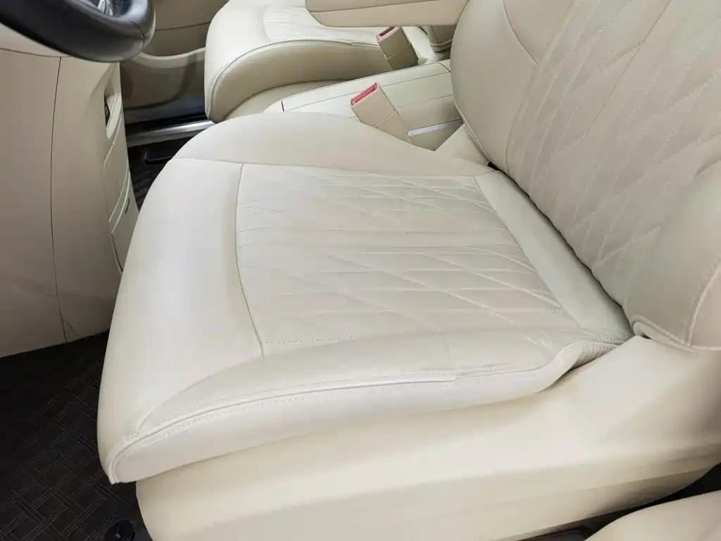Buick GL8 — миниатюра 20