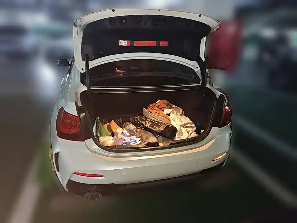 BMW 1 Series — миниатюра 20