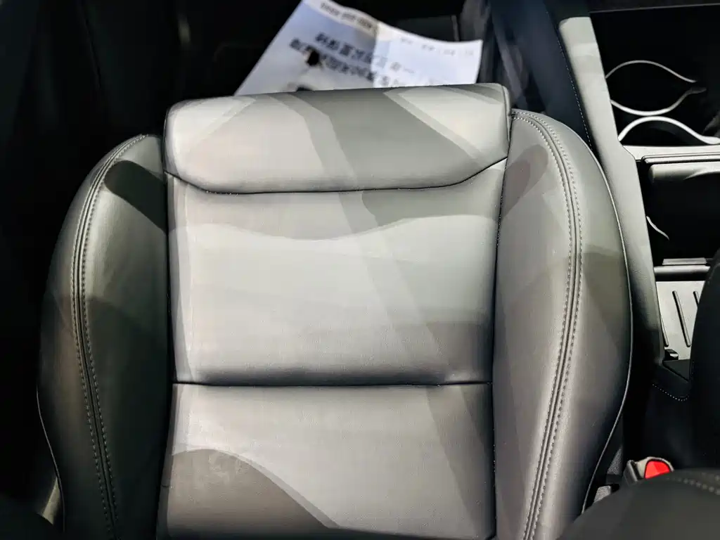 Tesla Model X — миниатюра 6