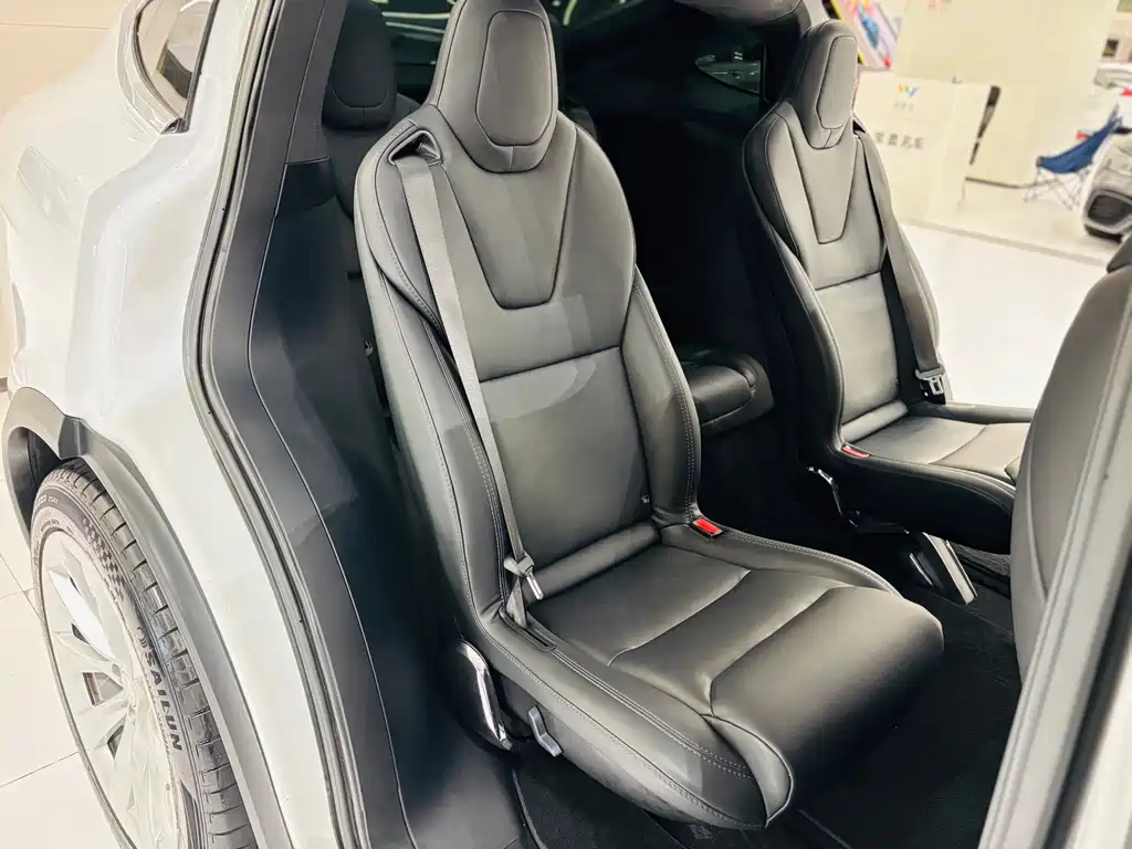 Tesla Model X — миниатюра 16