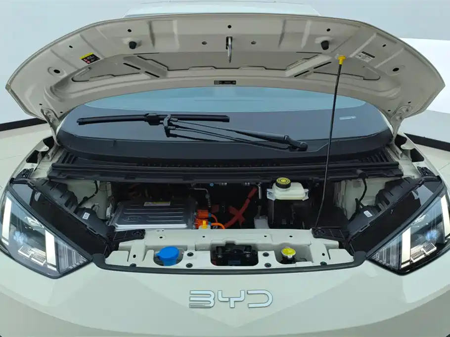 BYD Seagull 2025 Smart Drive 305km Freedom