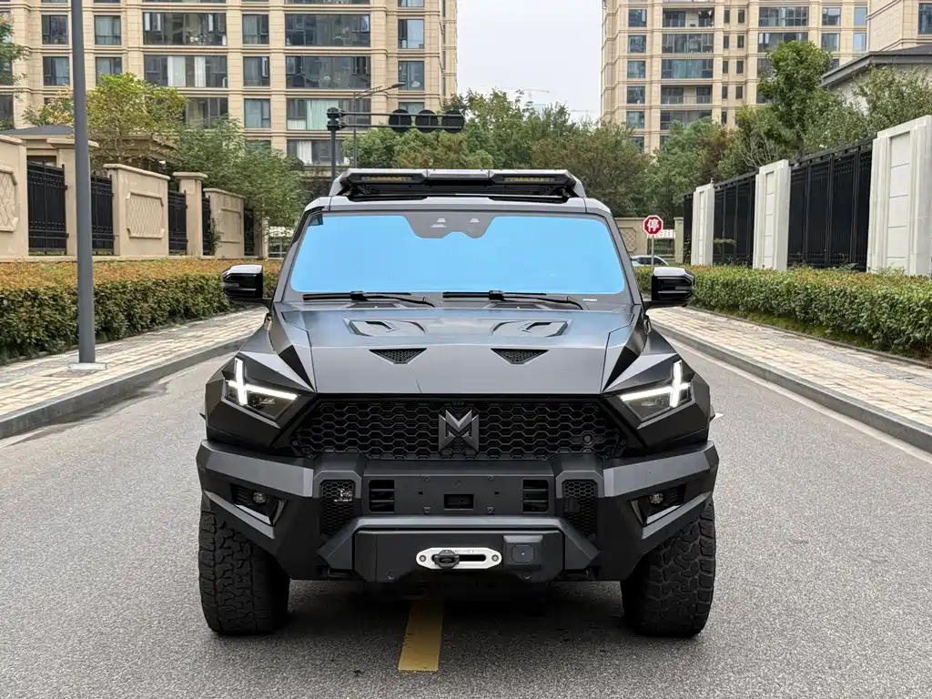 Mengshi Mengshi 917 — миниатюра 2