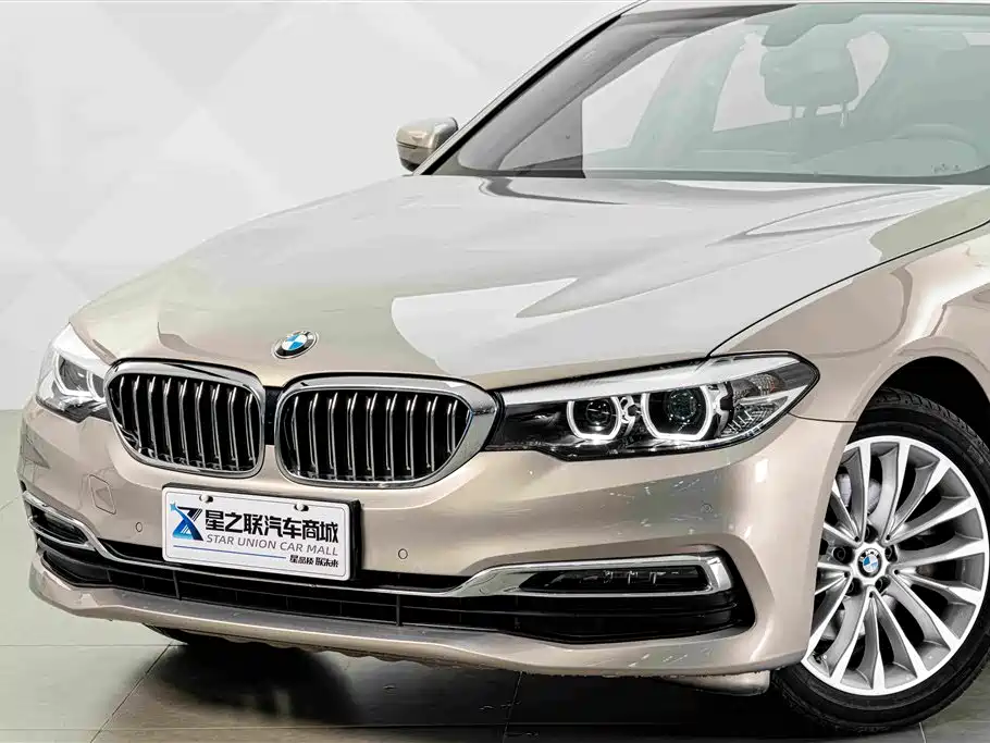 BMW 5 Series 5 2019 525Li Luxury