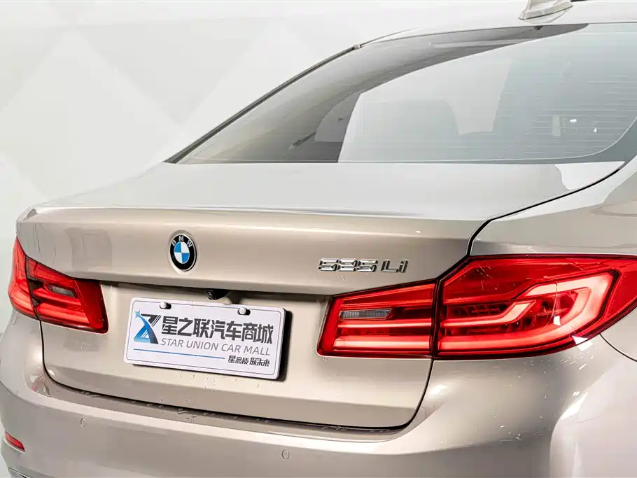 BMW 5 Series 5 2019 525Li Luxury
