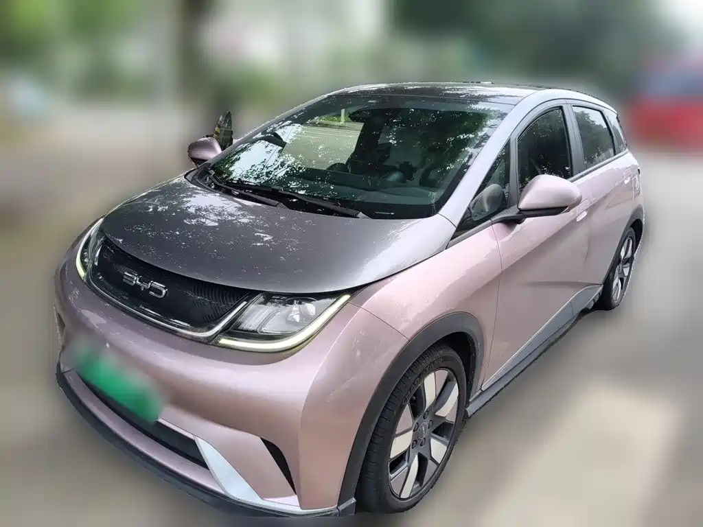 BYD Dolphin — миниатюра 2