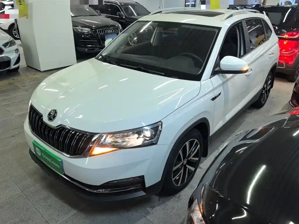 Купить Skoda Kamiq