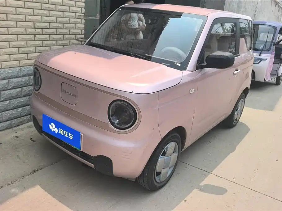 BYD Panda 2024 Panda mini 200km Endurance Bear