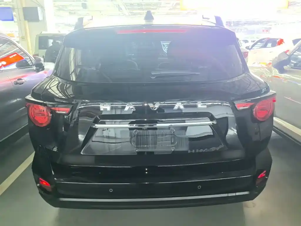 Haval Big Dog PLUS — миниатюра 6