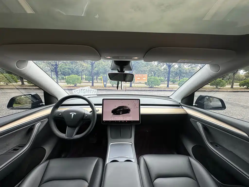 Tesla Model Y — миниатюра 16