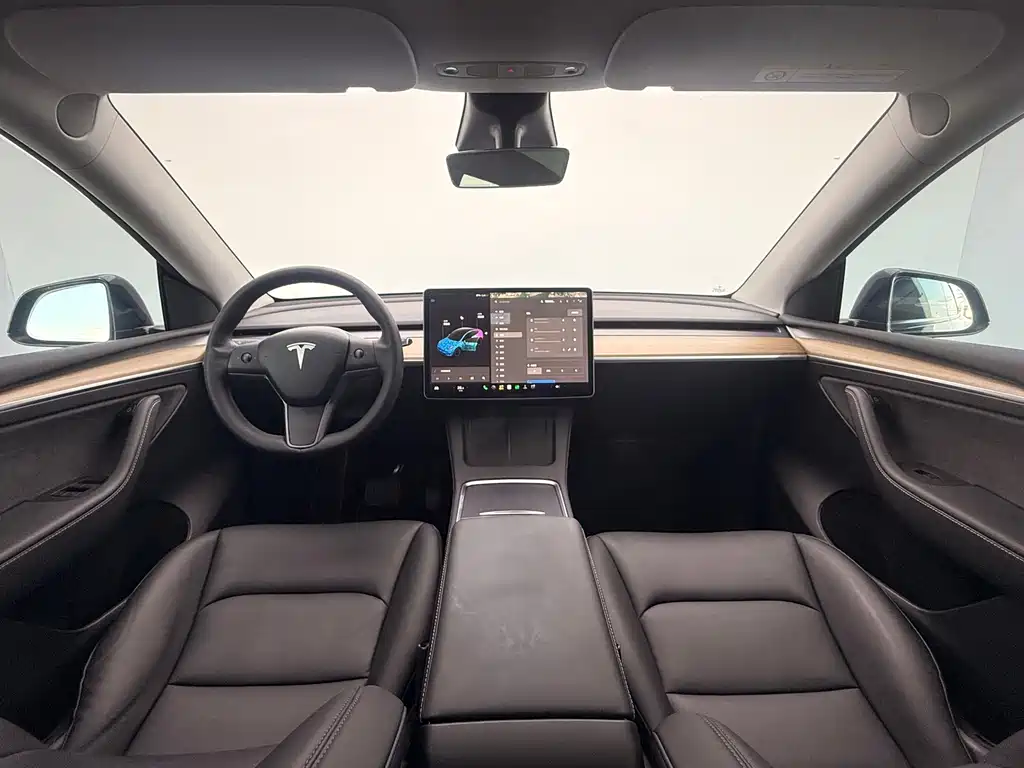 Tesla Model Y — миниатюра 7