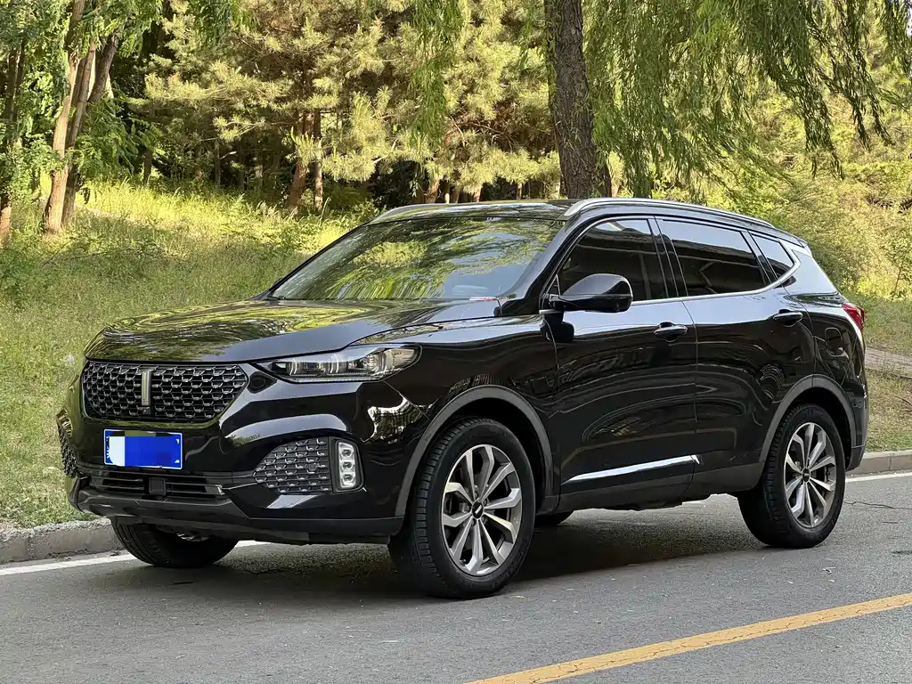 Wey Wey VV6 2019