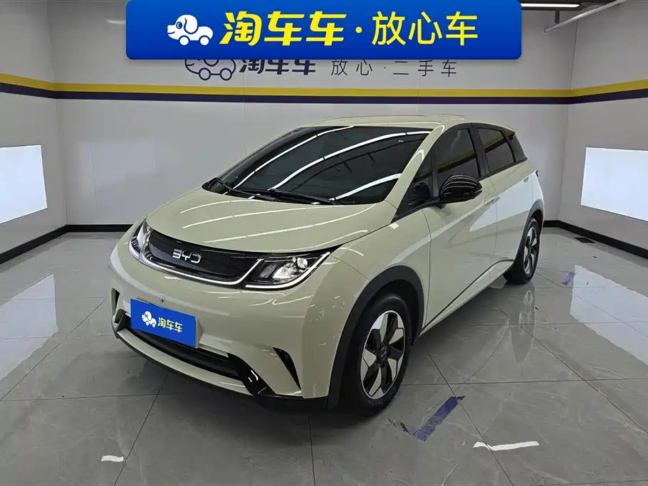 BYD Dolphin 2025 420km Freedom