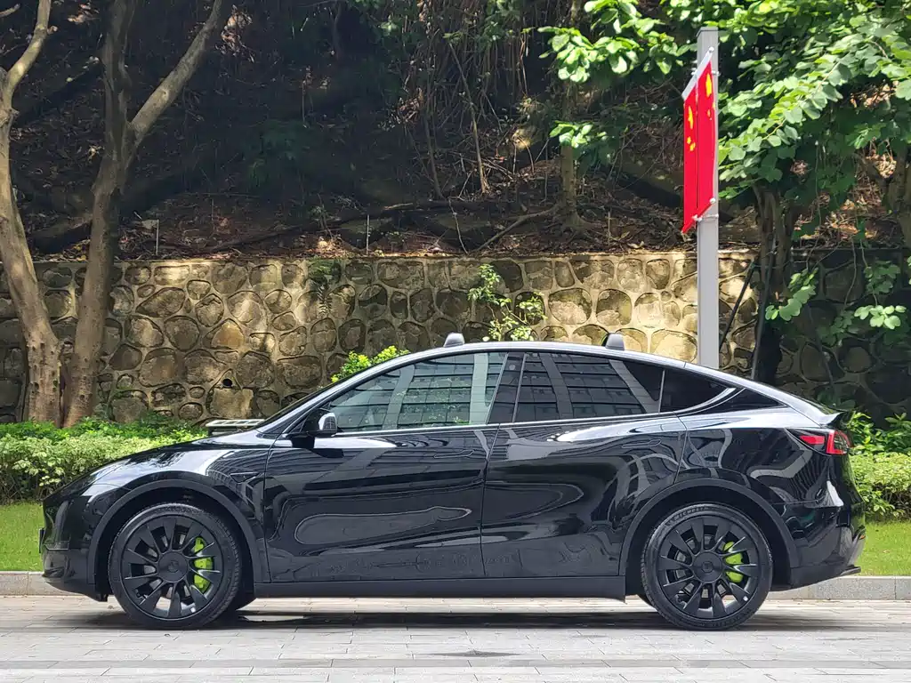 Tesla Model Y — миниатюра 7