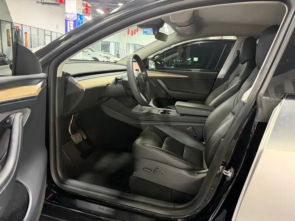 Tesla Model Y — миниатюра 6