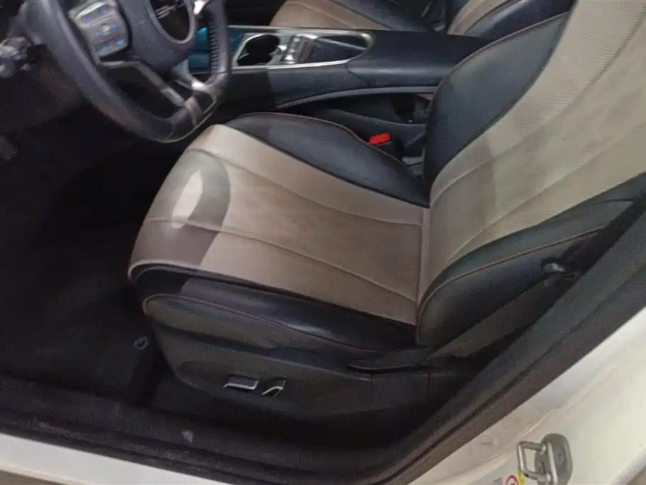 BYD Dolphin 2023 420km Fashion