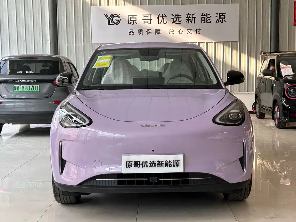 Geely Geome Xingyuan 2026 310km