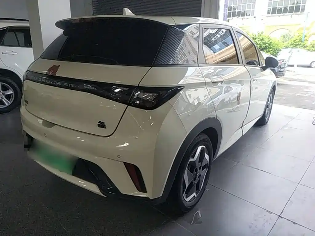 BYD Dolphin — миниатюра 7