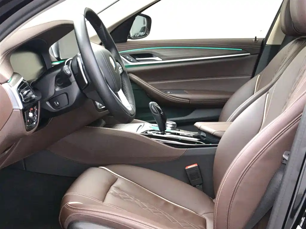 BMW 5 Series 5 2020 530Li Lead Luxury