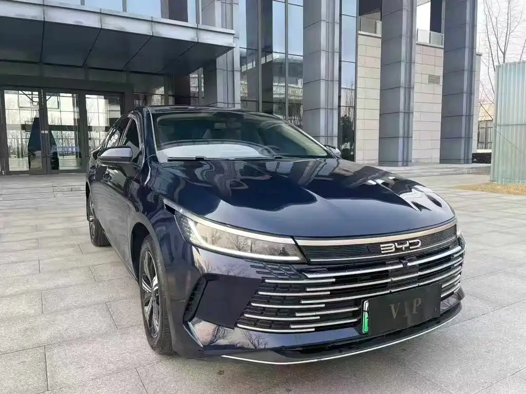 BYD Destroyer 05 2024 DM-i 55KM Luxury
