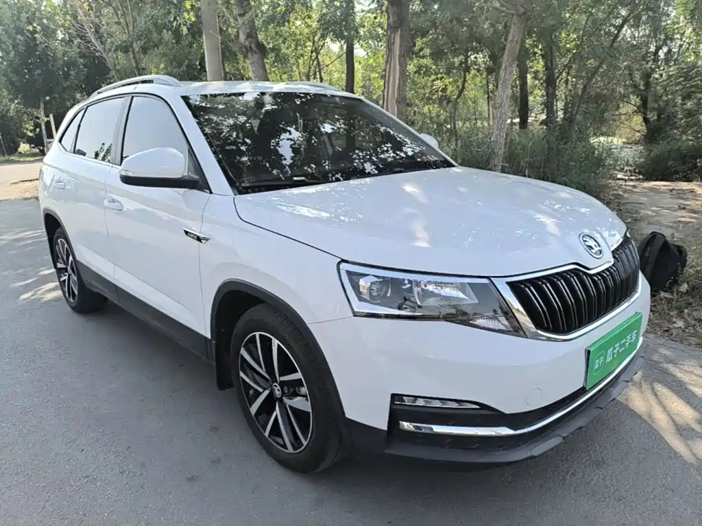 Skoda Kamiq — миниатюра 4
