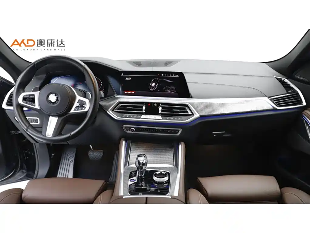 BMW X6 2022 xDrive40i M Sport