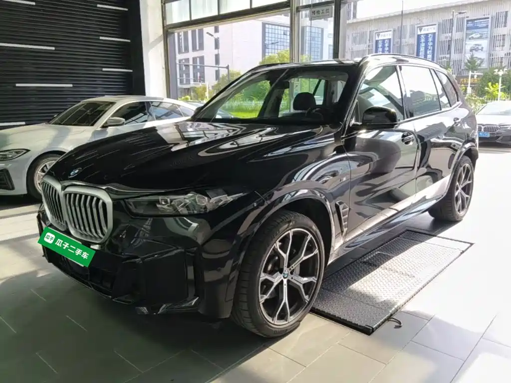 BMW X5 — миниатюра 2