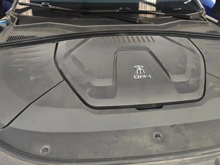 BYD SONGJIANG NEW ENERGY