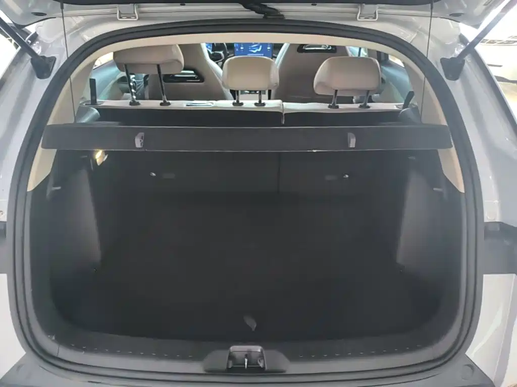 BYD Yuan Plus — миниатюра 19