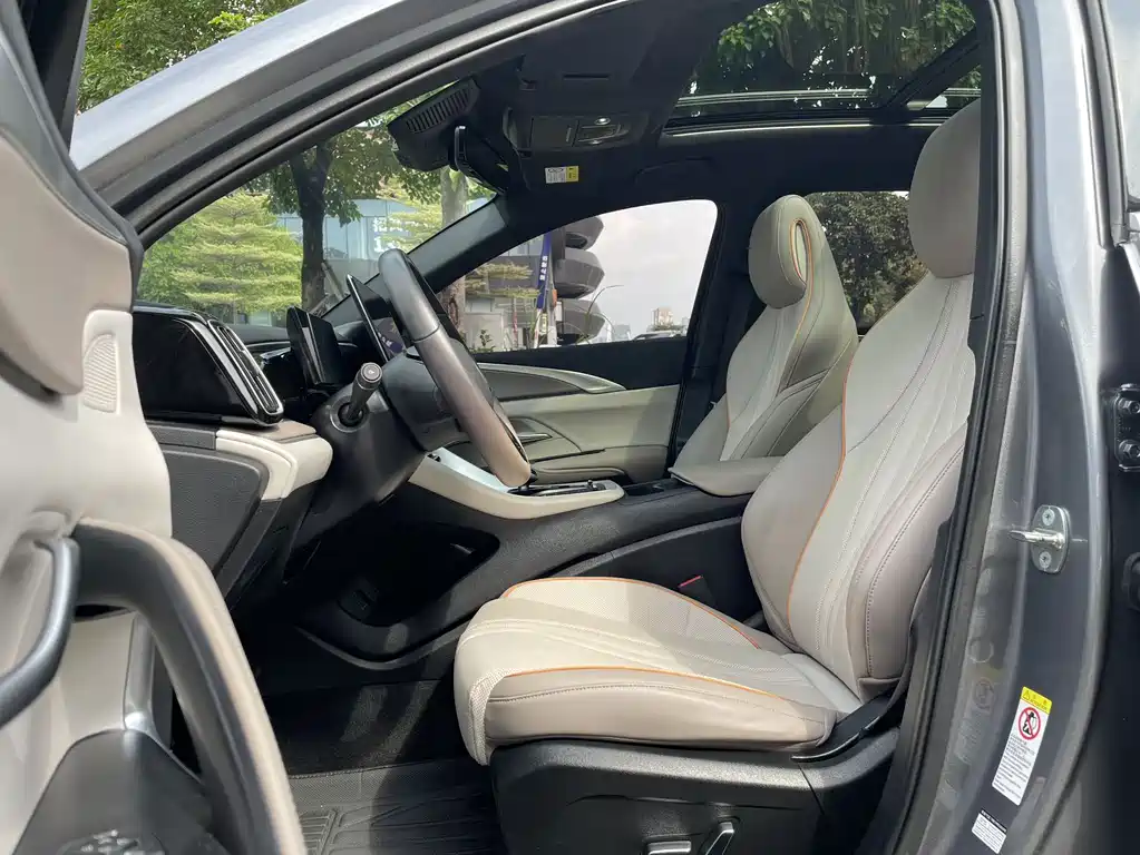 BYD Pro New Energy — миниатюра 4