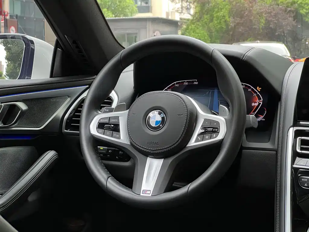 BMW 8 Series — миниатюра 16