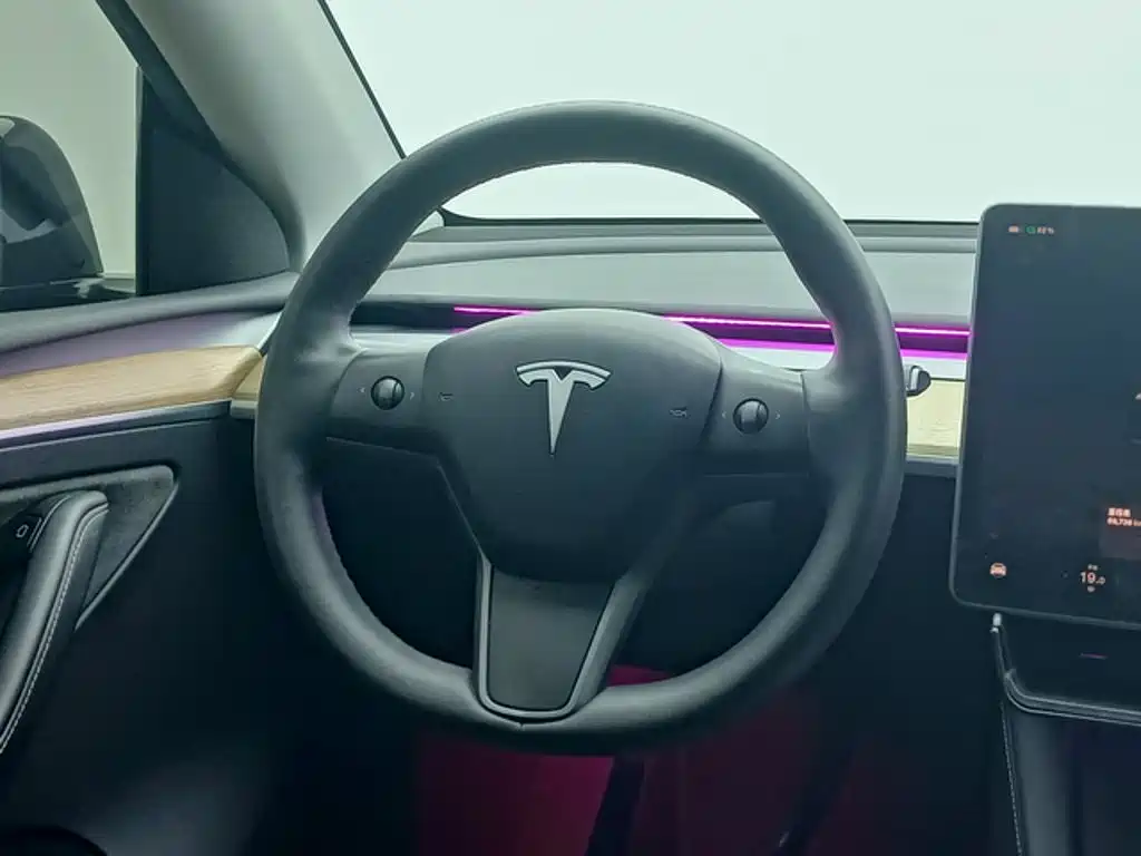 Tesla Model Y — миниатюра 6