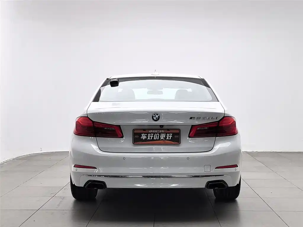 BMW 5 Series 5 2020 525Li Luxury