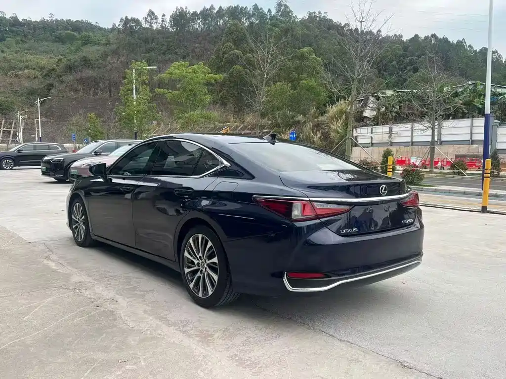 Lexus ES 2018 260 Premium V