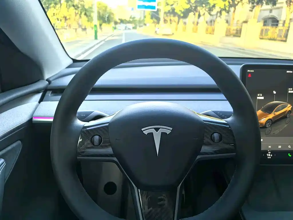 TESLA MODEL Y