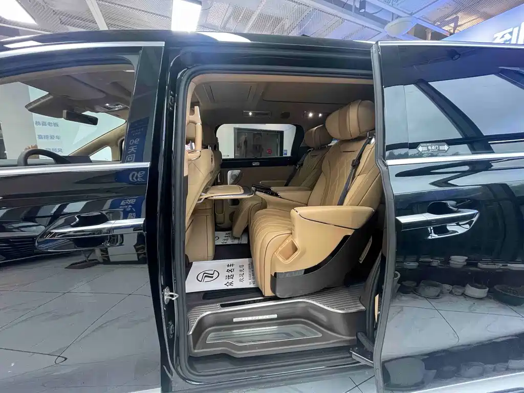 Denza Denza D9 — миниатюра 9