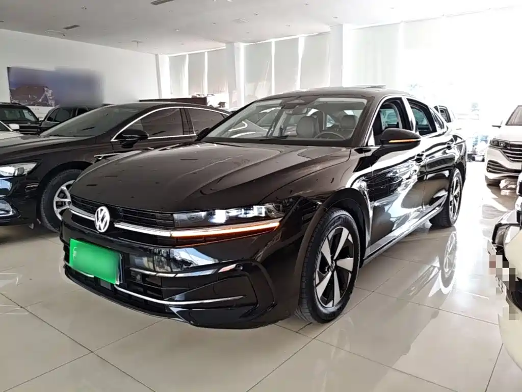 Volkswagen Magotan — миниатюра 2