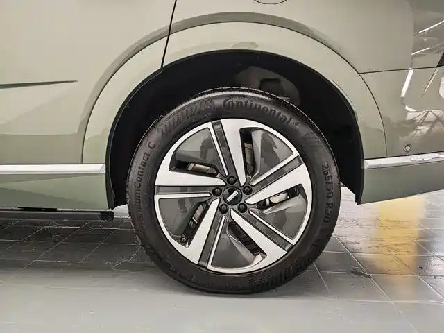 Wey Wey Lanshan — миниатюра 16