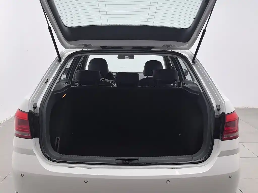 Volkswagen Gran Lavida — миниатюра 16