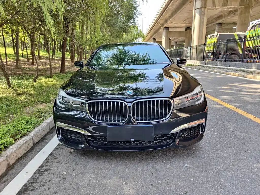 BMW 7 Series 7 2018 730Li Lead