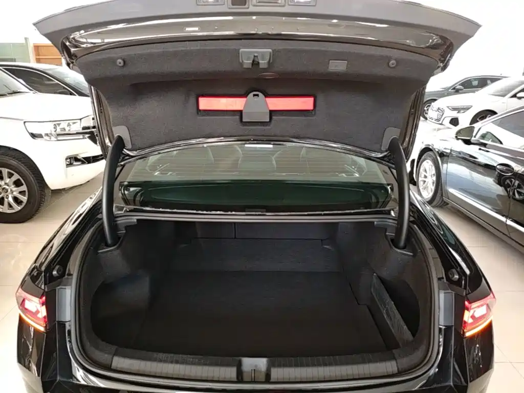 Volkswagen Magotan — миниатюра 19