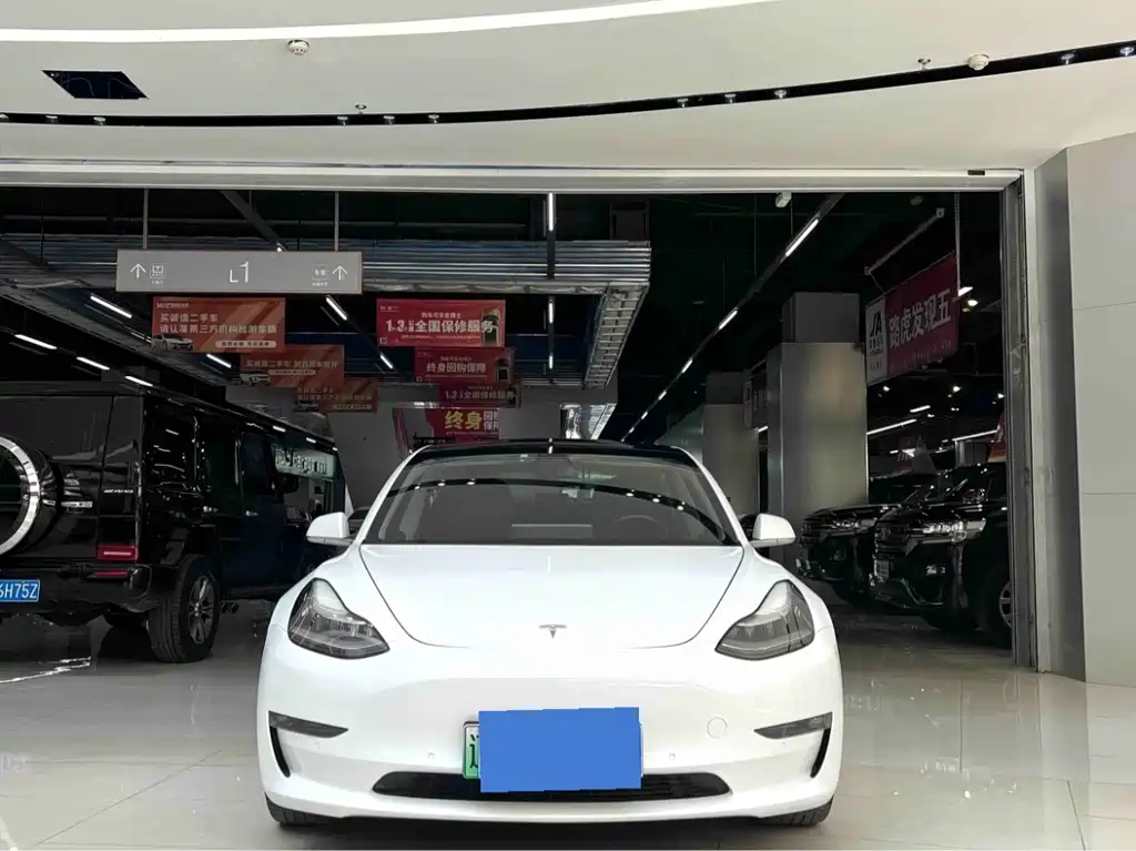 Tesla Model 3 2019